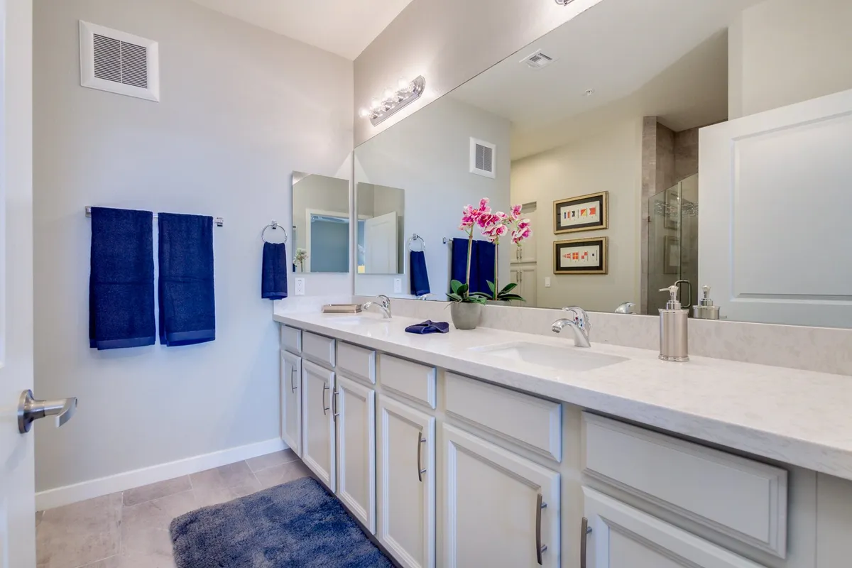 This image displays a spacious double sink vanity with large mirrors, decorative plants, and neatly arranged towels. The serene and organized atmosphere suggests a spa-like setting, echoing the feel of a wellness facility with amenities such as steam rooms or changing areas.
